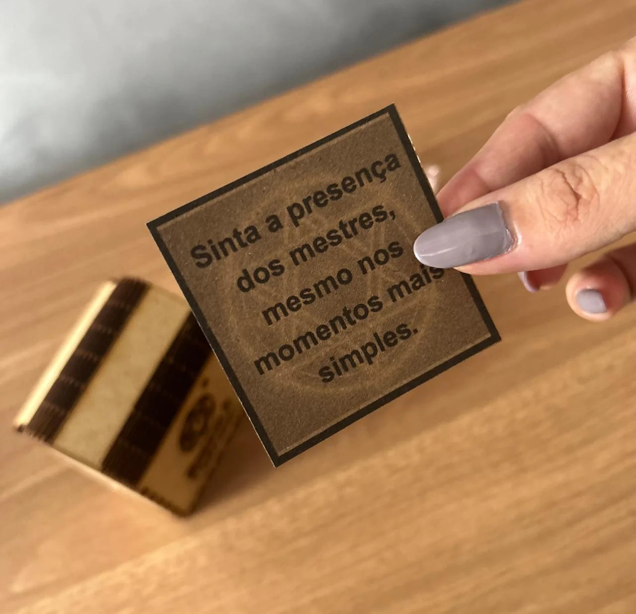 Kit Completo – Experiência Premium das Moedinhas Mágicas